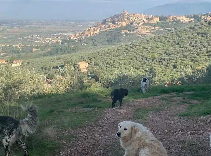 Setterhouseagrihotel Trevi