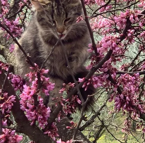 Setterhouseagrihotel Alloggio per agriturismo Trevi