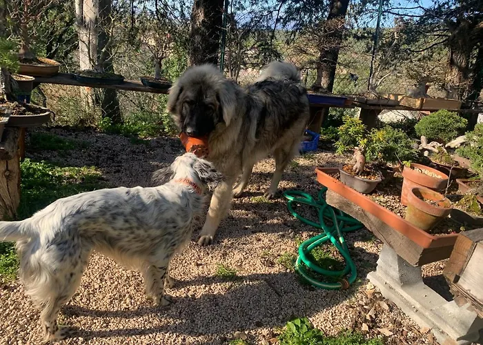 Setterhouseagrihotel Bauernhof