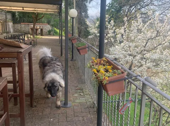 Setterhouseagrihotel Bauernhof 4*