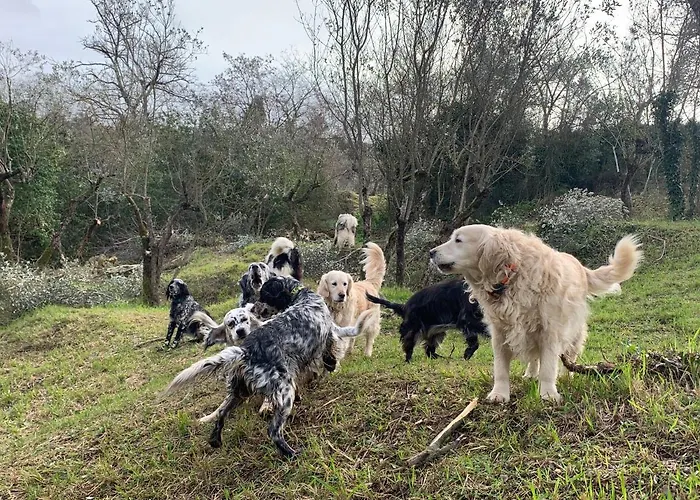 Setterhouseagrihotel Bauernhof Trevi