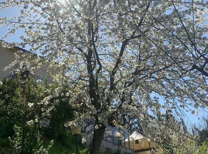 Setterhouseagrihotel Trevi