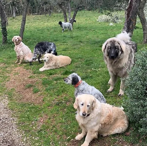 Setterhouseagrihotel Alloggio per agriturismo