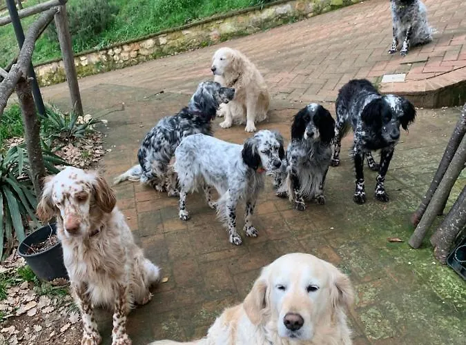 Setterhouseagrihotel