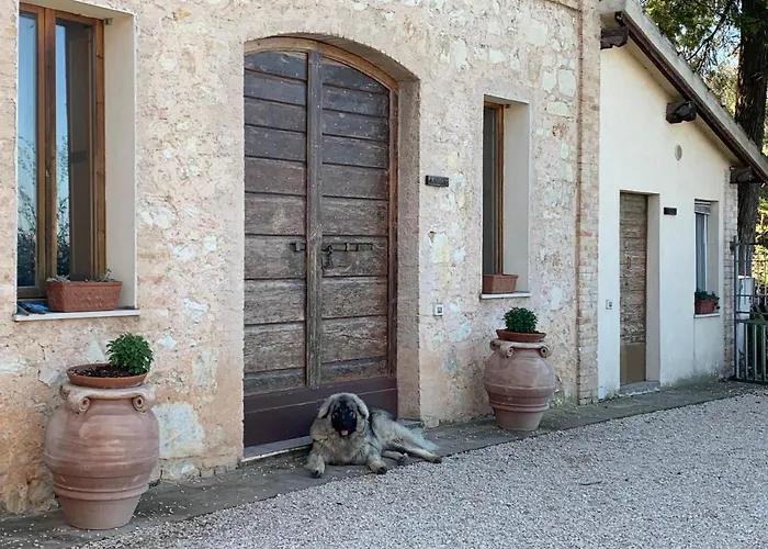 Setterhouseagrihotel