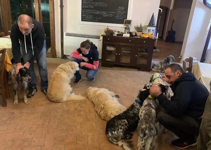 Bauernhof Setterhouseagrihotel 4*