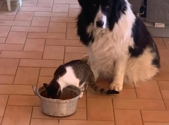 Setterhouseagrihotel Bauernhof Trevi