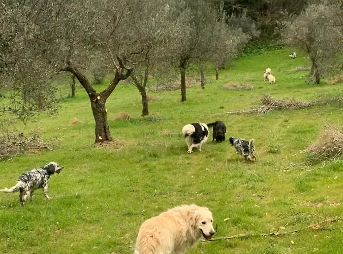 Setterhouseagrihotel 4* Trevi