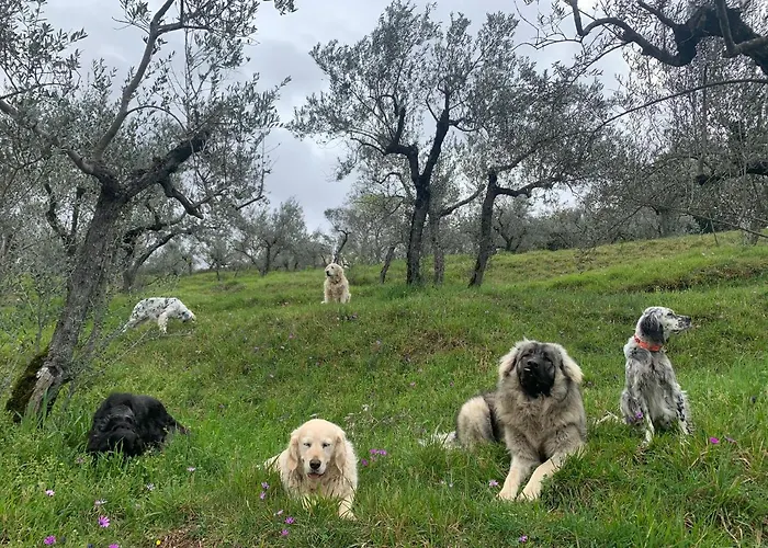 Setterhouseagrihotel