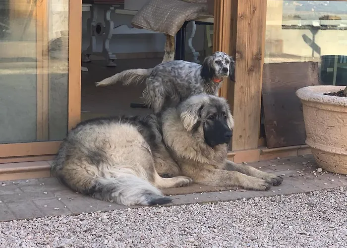 Bauernhof Setterhouseagrihotel 4*