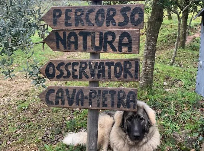 Setterhouseagrihotel Trevi