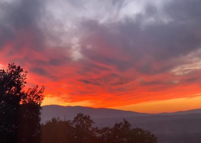 Setterhouseagrihotel