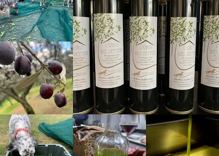 Setterhouseagrihotel Trevi