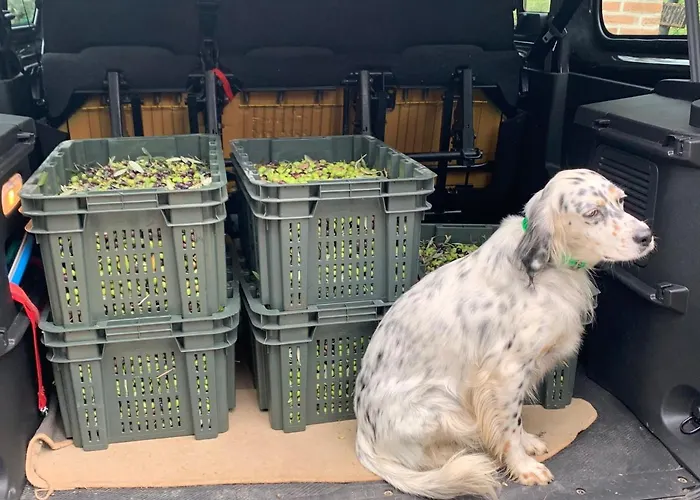 Setterhouseagrihotel