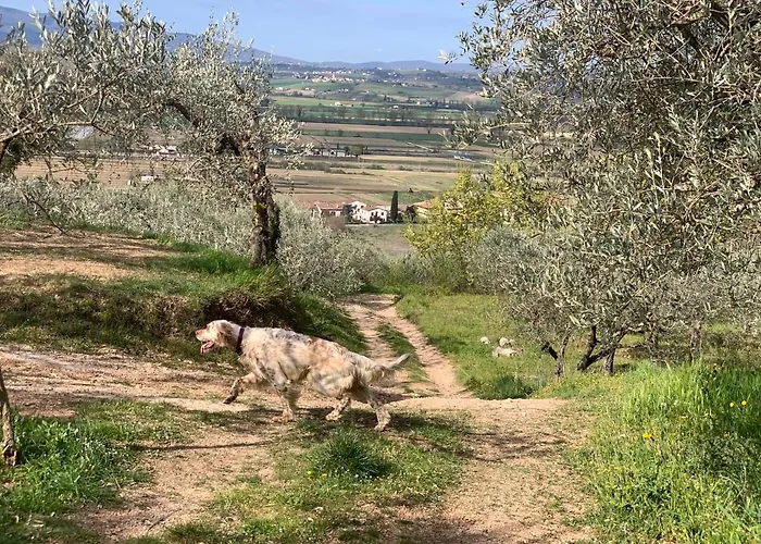 Setterhouseagrihotel Alloggio per agriturismo