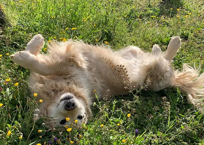 Setterhouseagrihotel 4*