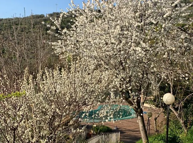 Setterhouseagrihotel 4*