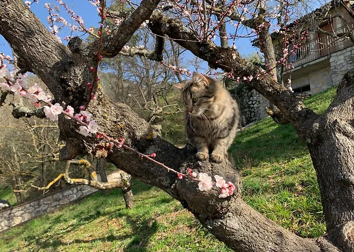 Bauernhof Setterhouseagrihotel Trevi