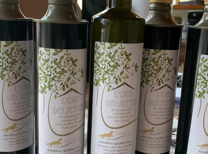 Setterhouseagrihotel 4* Trevi