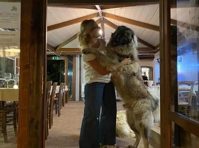 Setterhouseagrihotel 4* Trevi