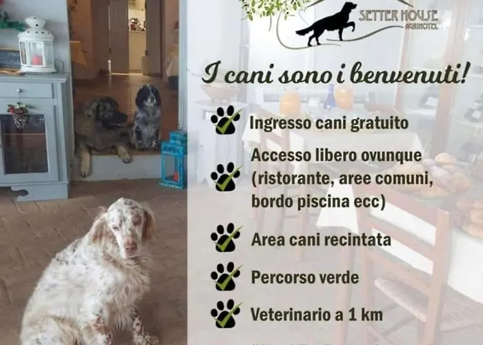 Setterhouseagrihotel Bauernhof Trevi