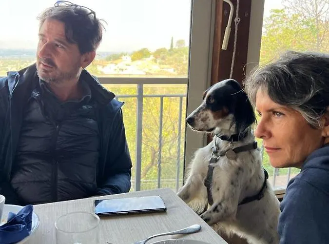 Setterhouseagrihotel Trevi