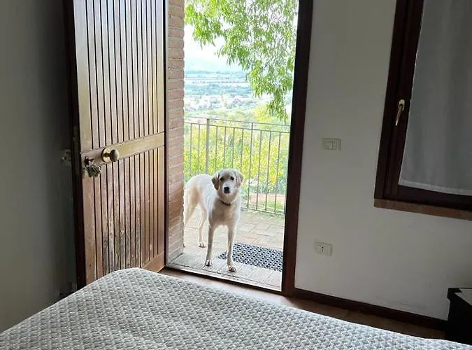 Alloggio per agriturismo Setterhouseagrihotel Trevi