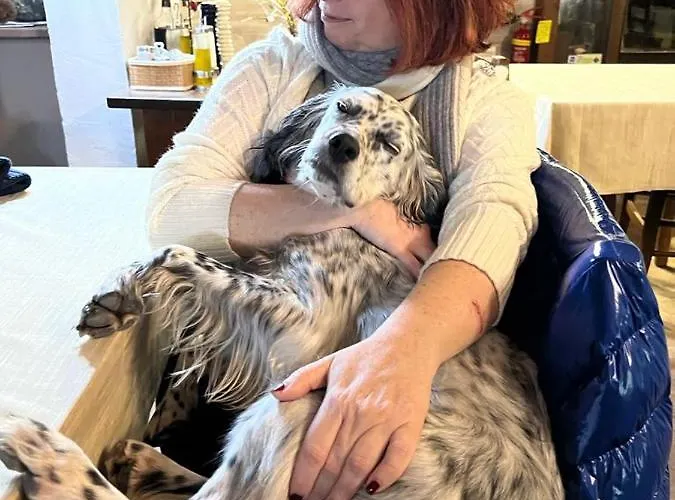 Setterhouseagrihotel Alloggio per agriturismo 4*