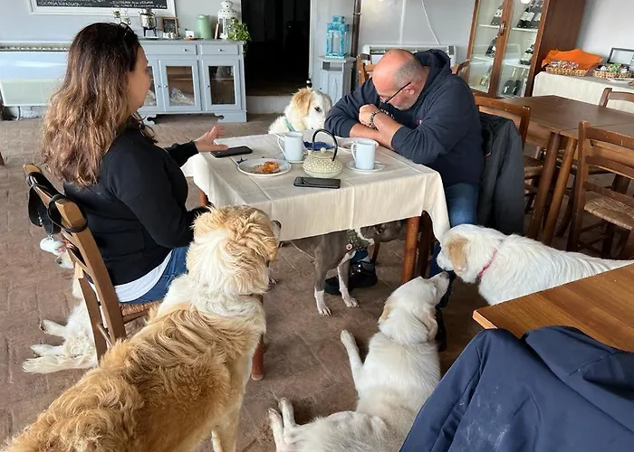 Setterhouseagrihotel