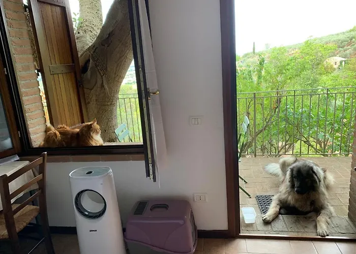 Setterhouseagrihotel 4* Trevi