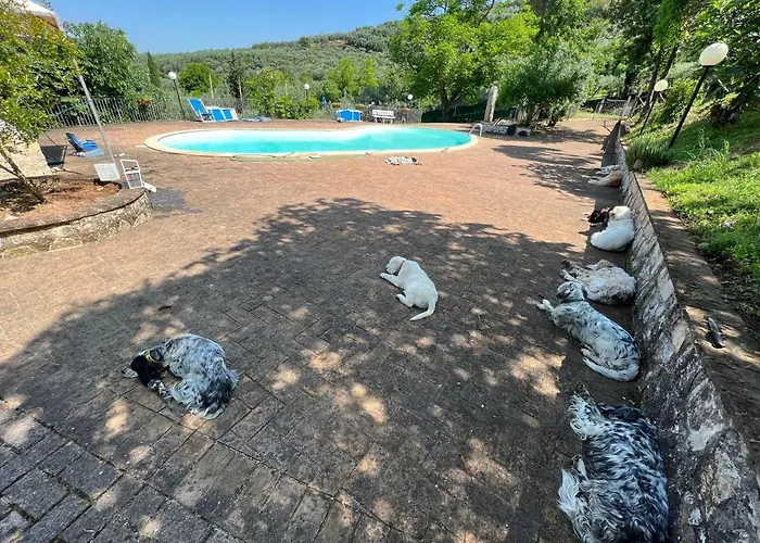 Alloggio per agriturismo Setterhouseagrihotel