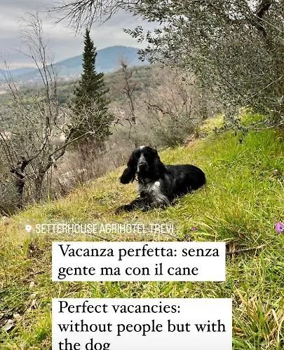 Setterhouseagrihotel 4*