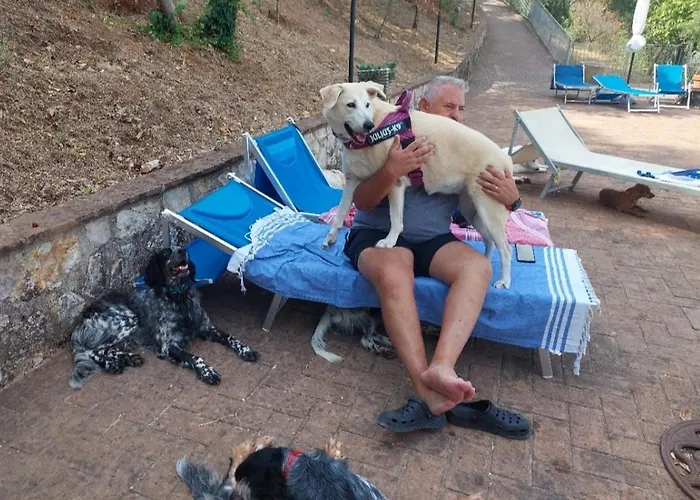 Setterhouseagrihotel Alloggio per agriturismo Trevi