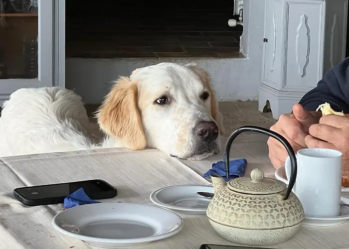 Farm stay Setterhouseagrihotel Trevi