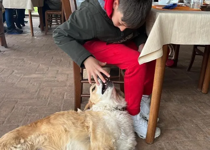 Setterhouseagrihotel Trevi