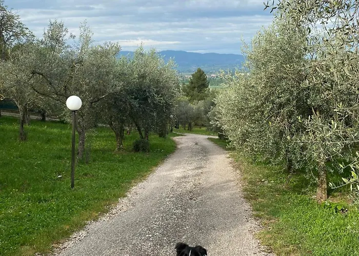 Setterhouseagrihotel 4*