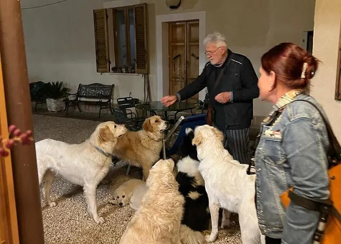 Alloggio per agriturismo Setterhouseagrihotel