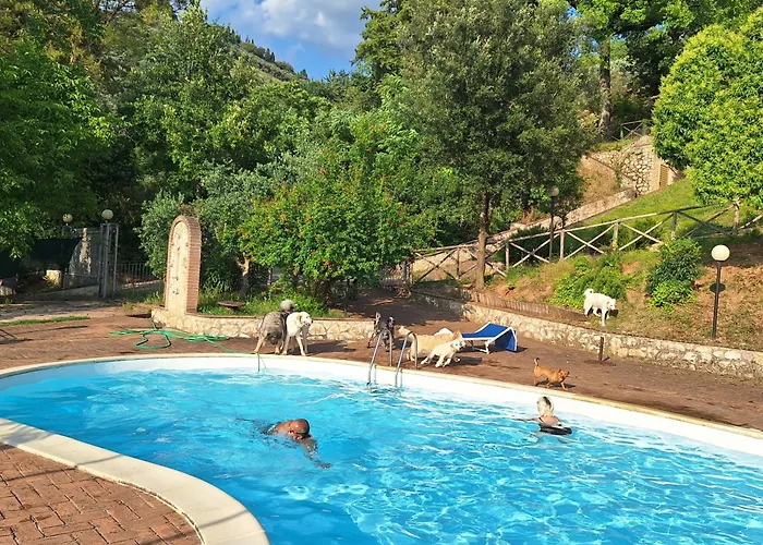 Bauernhof Setterhouseagrihotel 4*