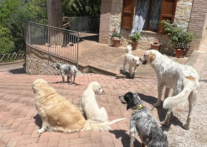 Setterhouseagrihotel 4* Trevi