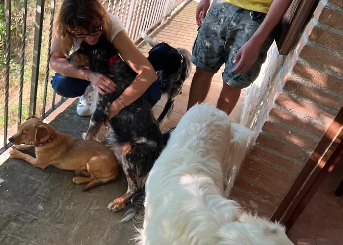 Setterhouseagrihotel Bauernhof 4*