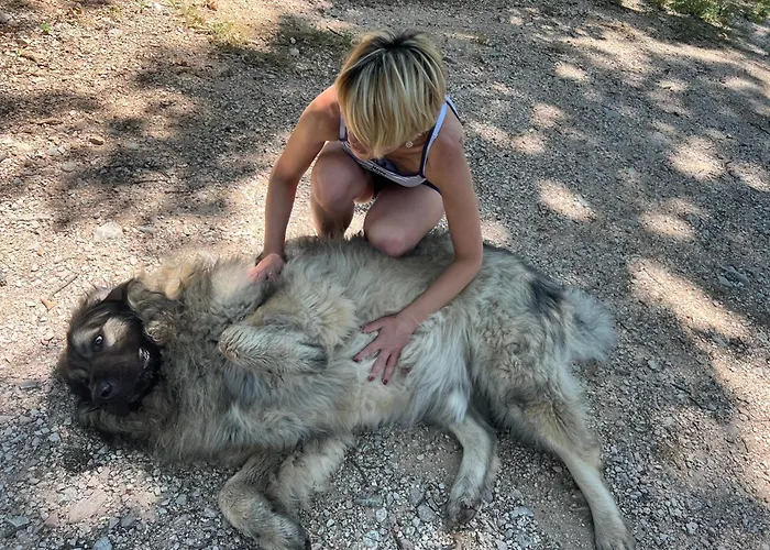 Bauernhof Setterhouseagrihotel Trevi