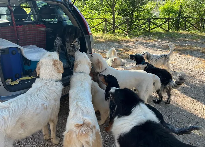 Setterhouseagrihotel Alloggio per agriturismo 4*