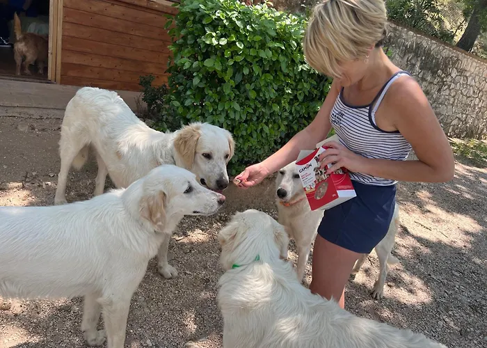 Setterhouseagrihotel 4*