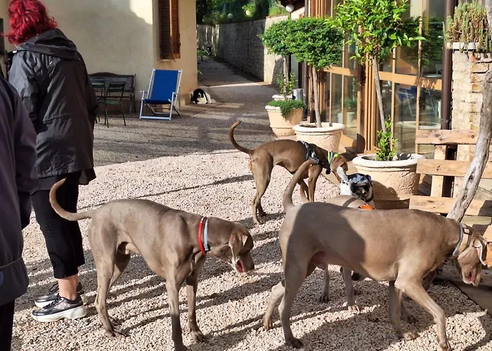 Bauernhof Setterhouseagrihotel Trevi