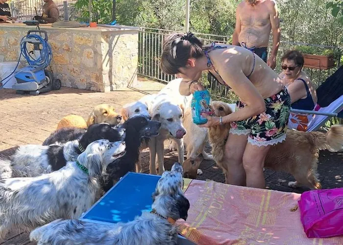 Setterhouseagrihotel 4* Trevi