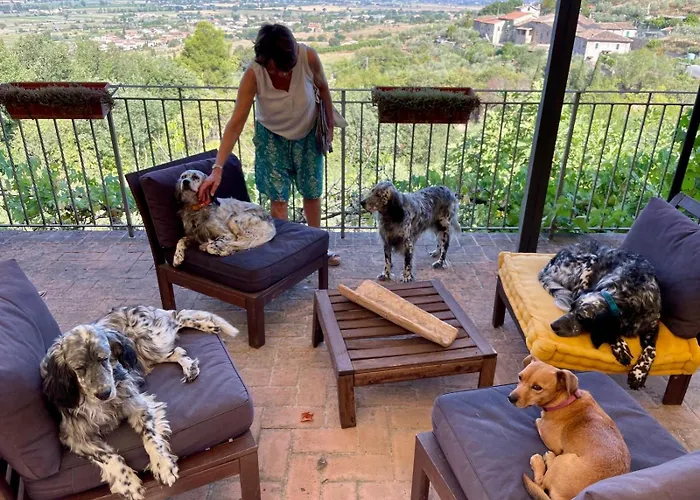 Setterhouseagrihotel Bauernhof