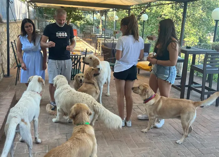 Alloggio per agriturismo Setterhouseagrihotel 4*