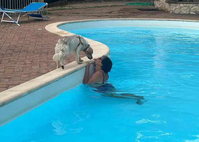 Setterhouseagrihotel 4*