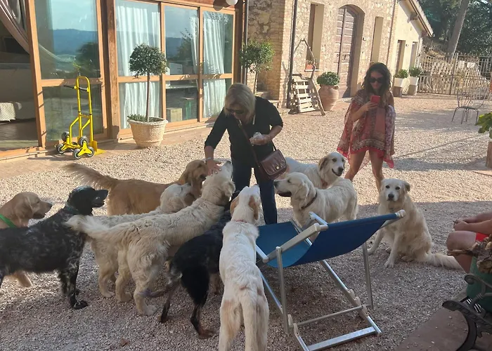 Setterhouseagrihotel