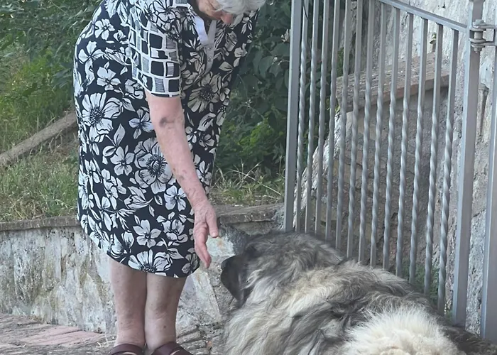 Setterhouseagrihotel Bauernhof